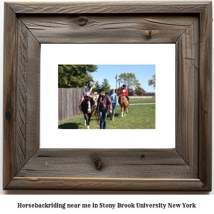 horseback riding near me in Stony Brook University, New York